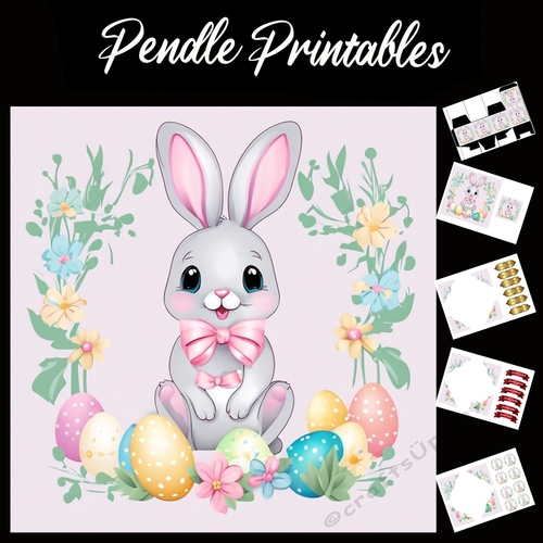 Cute Easter Bunny Rabbit With Egg 118 7x7 Card Kit. Matching Box, Gift Bauble,Tag