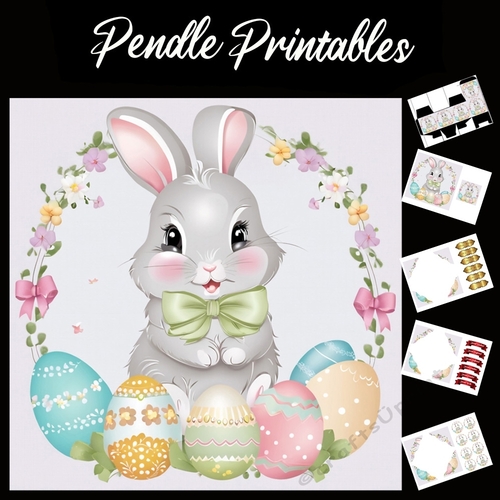 Cute Easter Bunny Rabbit With Egg 119 7x7 Card Kit. Matching Box, Gift Bauble,Tag