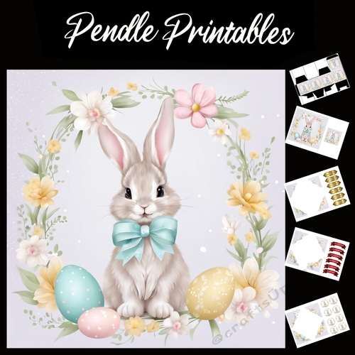 Cute Easter Bunny Rabbit With Egg 121 7x7 Card Kit. Matching Box, Gift Bauble,Tag