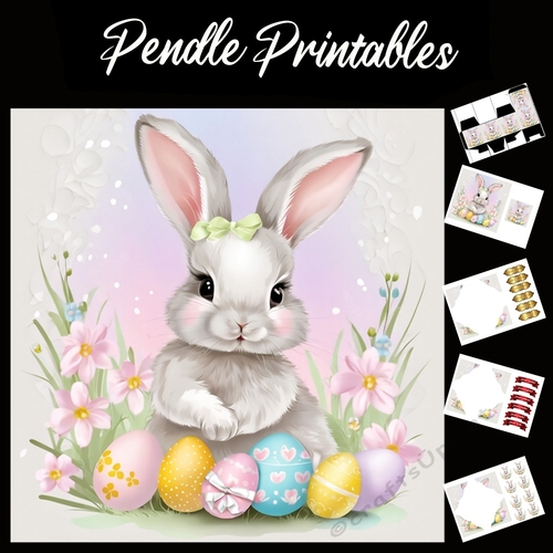 Cute Easter Bunny Rabbit With Egg 124 7x7 Card Kit. Matching Box, Gift Bauble,Tag