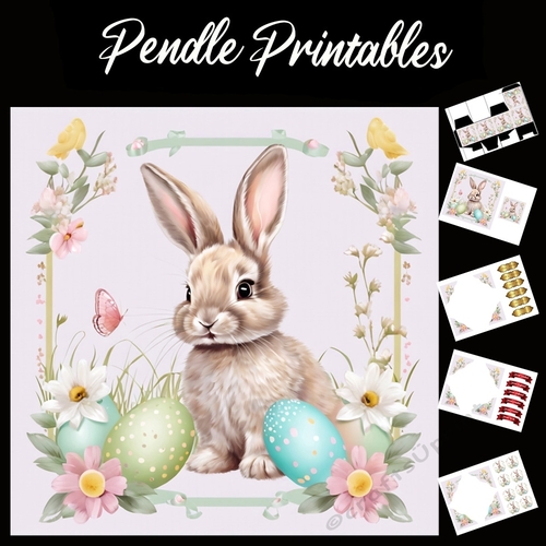 Cute Easter Bunny Rabbit With Egg 126 7x7 Card Kit. Matching Box, Gift Bauble,Tag