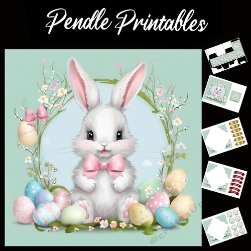 Cute Easter Bunny Rabbit With Egg 127 7x7 Card Kit. Matching Box, Gift Bauble,Tag