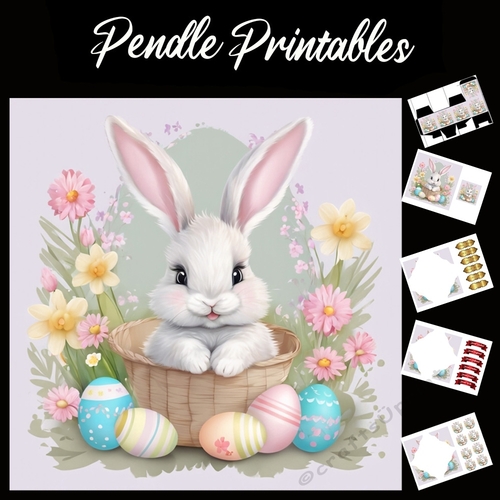 Cute Easter Bunny Rabbit With Egg 128 7x7 Card Kit. Matching Box, Gift Bauble,Tag