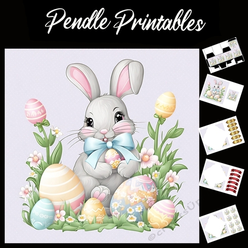 Cute Easter Bunny Rabbit With Egg 135 7x7 Card Kit. Matching Box, Gift Bauble,Tag