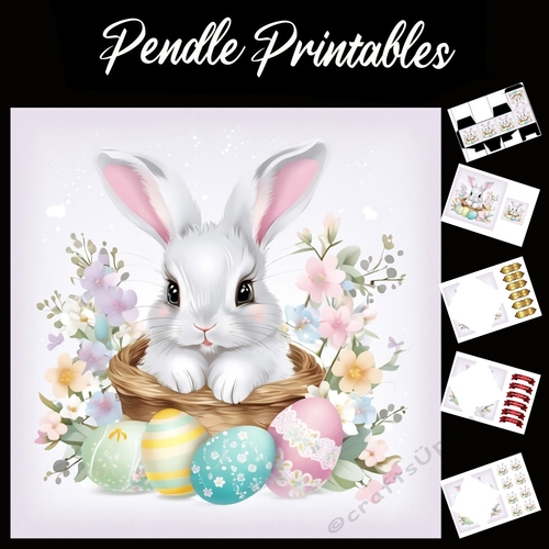Cute Easter Bunny Rabbit With Egg 137 7x7 Card Kit. Matching Box, Gift Bauble,Tag