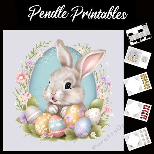 Cute Easter Bunny Rabbit With Egg 140 7x7 Card Kit. Matching Box, Gift Bauble,Tag