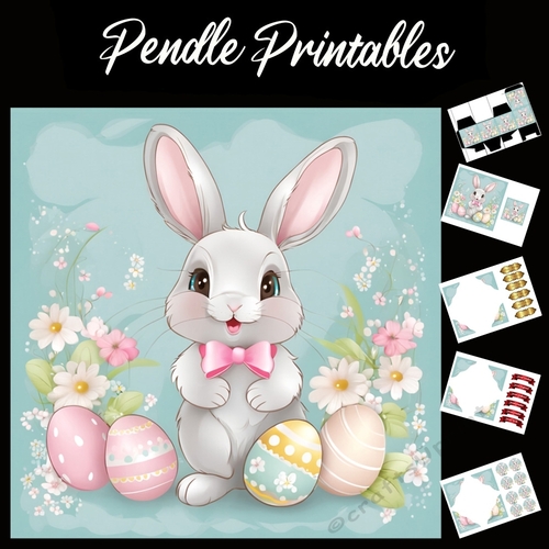 Cute Easter Bunny Rabbit With Egg 141 7x7 Card Kit. Matching Box, Gift Bauble,Tag