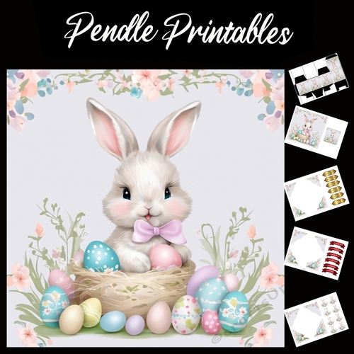 Cute Easter Bunny Rabbit With Egg 144 7x7 Card Kit. Matching Box, Gift Bauble,Tag