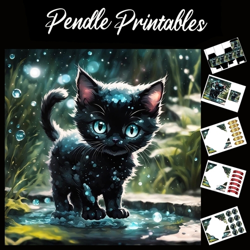 Cute Black Kitten In Puddle 7x7 Card Kit. Matching Box, Gift Bauble,Tag