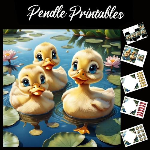 Three Little Ducklings 7x7 Card Kit. Matching Box, Gift Bauble,Tag