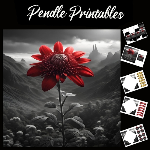 The Red Flower 7x7 Card Kit. Matching Box, Gift Bauble,Tag