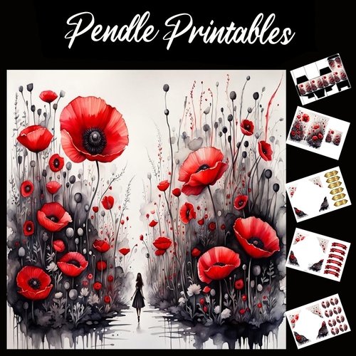 Girl In The Poppies 7x7 Card Kit. Matching Box, Gift Bauble,Tag