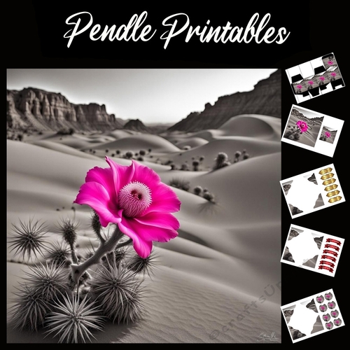 Pink Cactus 7x7 Card Kit. Matching Box, Gift Bauble,Tag