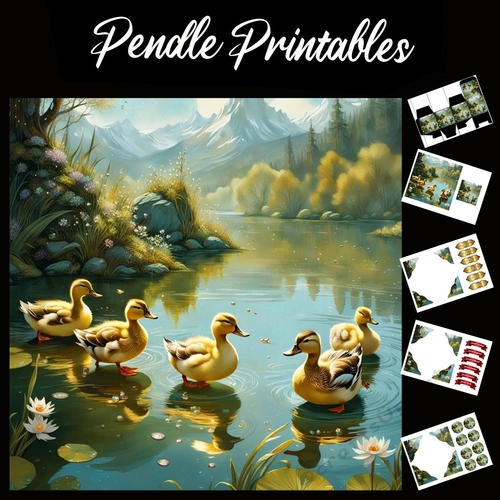 Nursery Rhyme: 5 Little Ducks 7x7 Card Kit. Matching Box, Gift Bauble,Tag