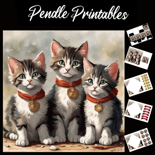 Nursery Rhyme: Three Little Kittens 7x7 Card Kit. Matching Box, Gift Bauble,Tag