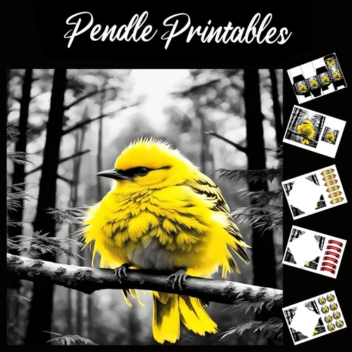 The Yellow Fluffy Bird 7x7 Card Kit. Matching Box, Gift Bauble,Tag