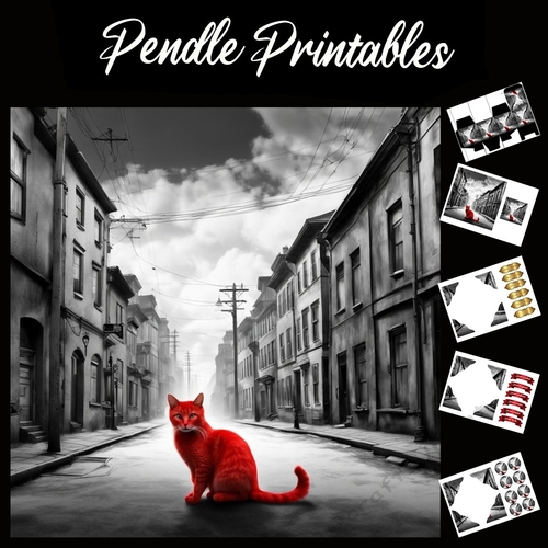 Little Red Cat 7x7 Card Kit. Matching Box, Gift Bauble,Tag