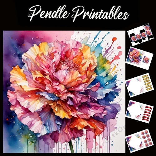 Colourful Carnation 7x7 Card Kit. Matching Box, Gift Bauble,Tag