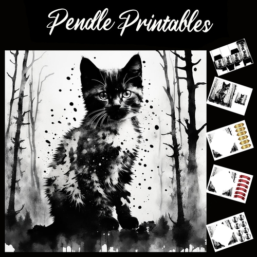 Splatter Art: Smokey Black Cat 7x7 Card Kit. Matching Box, Gift Bauble,Tag