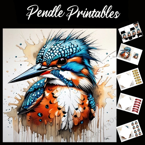 Splatter Art: The Kingfisher 7x7 Card Kit. Matching Box, Gift Bauble,Tag