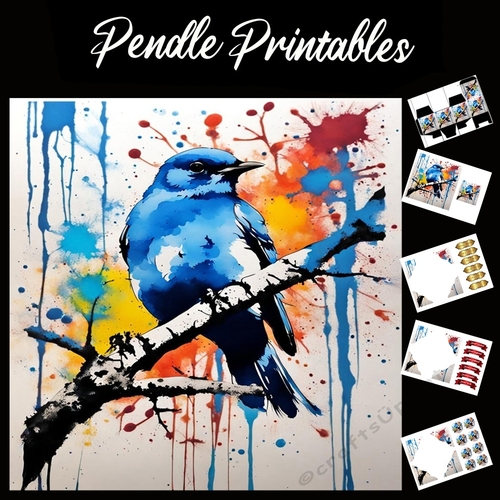Splatter Art: Beautiful Bluebird 7x7 Card Kit. Matching Box, Gift Bauble,Tag