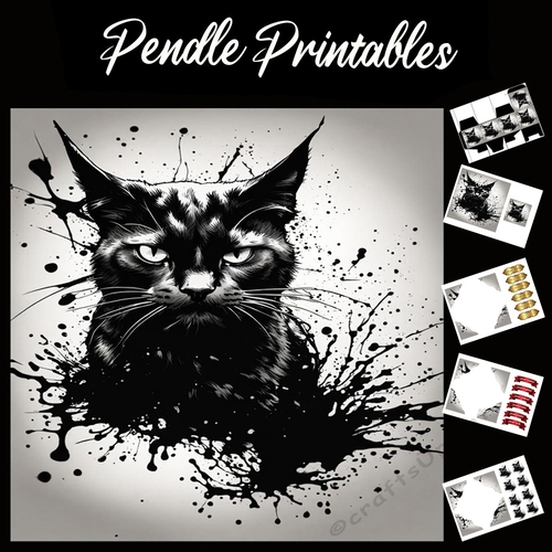 Splatter Art: Black Cat Splatter 7x7 Card Kit. Matching Box, Gift Bauble,Tag