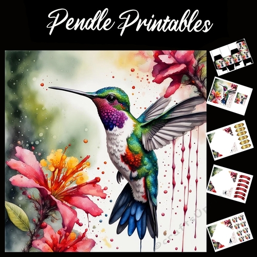 Splatter Art: Hummingbird 2 7x7 Card Kit. Matching Box, Gift Bauble,Tag
