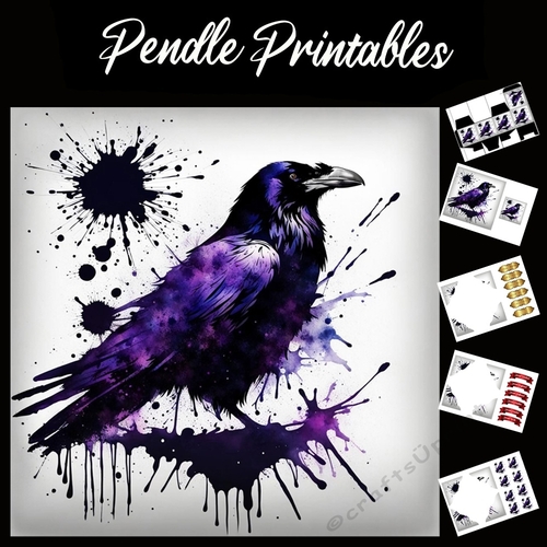 Splatter Art: Purple Raven 7x7 Card Kit. Matching Box, Gift Bauble,Tag