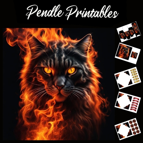 Flame Art: Fire Cat 7x7 Card Kit. Matching Box, Gift Bauble,Tag