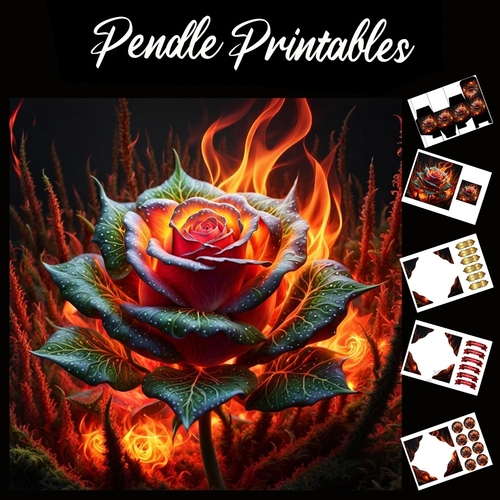 Flame Art: Fire Rose 7x7 Card Kit. Matching Box, Gift Bauble,Tag