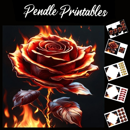 Flame Art: Fire Rose 2 7x7 Card Kit. Matching Box, Gift Bauble,Tag