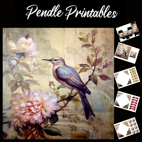 Antique Silk Screen Style Bird 4 7x7 Card Kit. Matching Box, Gift Bauble,Tag