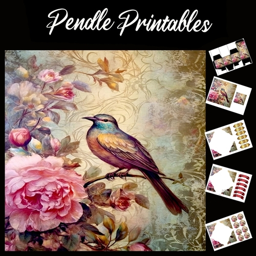 Antique Silk Screen Style Bird 5 7x7 Card Kit. Matching Box, Gift Bauble,Tag