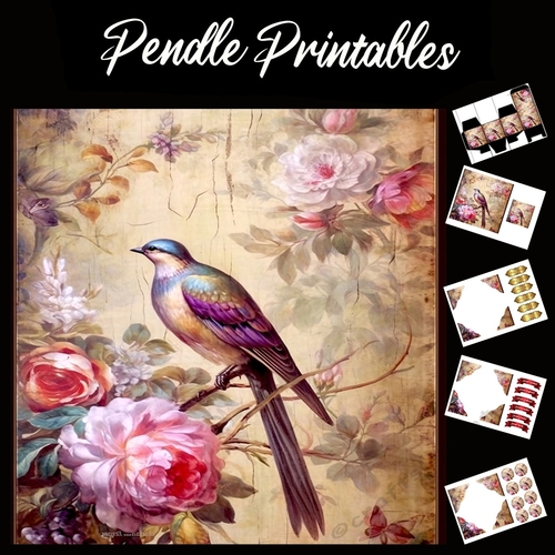 Antique Silk Screen Style Bird 6 7x7 Card Kit. Matching Box, Gift Bauble,Tag