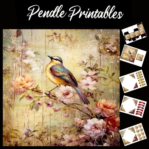Antique Silk Screen Style Bird 8 7x7 Card Kit. Matching Box, Gift Bauble,Tag