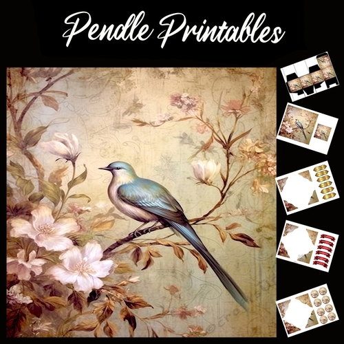 Antique Silk Screen Style Bird 9 7x7 Card Kit. Matching Box, Gift Bauble,Tag