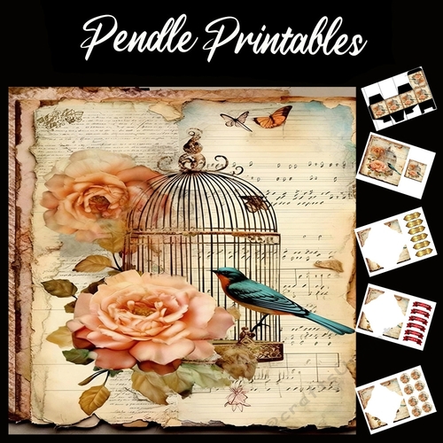Antique Style Beautiful Bird Song 4 7x7 Card Kit. Matching Box, Gift Bauble,Tag