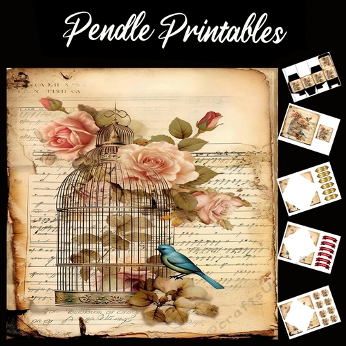 Antique Style Beautiful Bird Song 5 7x7 Card Kit. Matching Box, Gift Bauble,Tag
