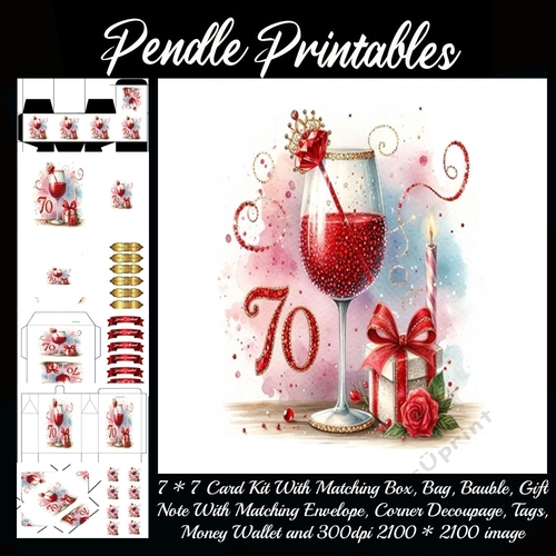 Red Fizz 70th Birthday Complete Kit