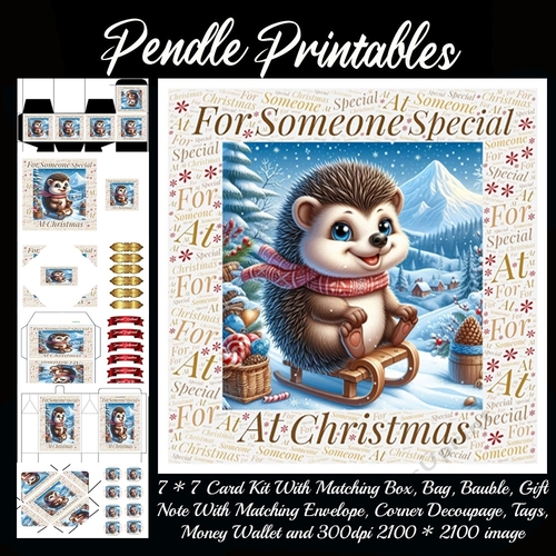NEW* Word Art Border Card For Someone Special At Christmas Hedgehog 4. 9 Piece 7x7 Complete Kit