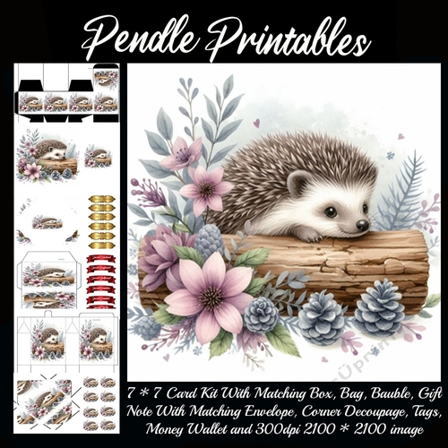 The Cute Happy Hedgehog. 9 Piece Card Kit.