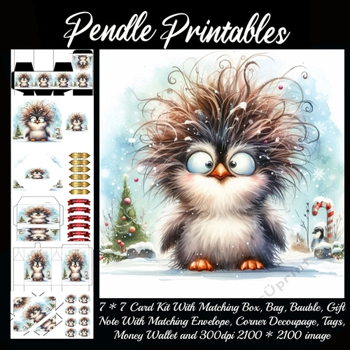 Crazy Critters Christmas Cheer: Crazy Cute Penguin 2. 9 Piece Card Kit.
