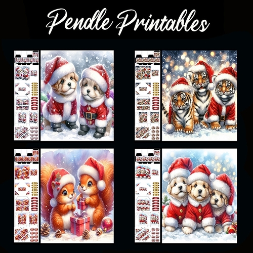 Christmas Animals Mixed Christmas Cards.  4 Card Kit with 32 Piece Matching Adornments
