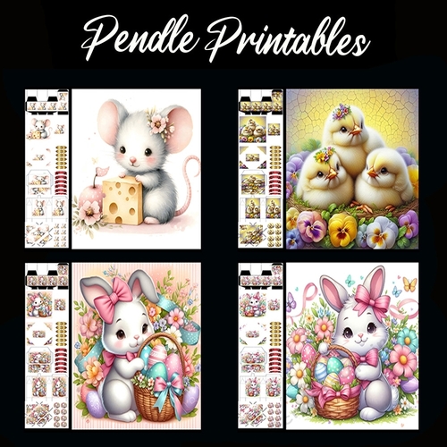 Various Mixed Animals Card Pack (24).  4 Card Kit with 32 Piece Matching Adornments