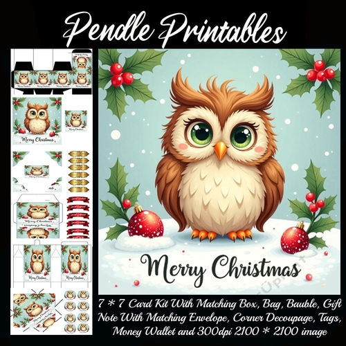 Vintage Style Merry Christmas Cute Owl (3).  9 Piece 7x7 Complete Kit
