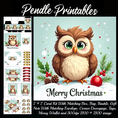 Vintage Style Merry Christmas Cute Owl (4).  9 Piece 7x7 Complete Kit