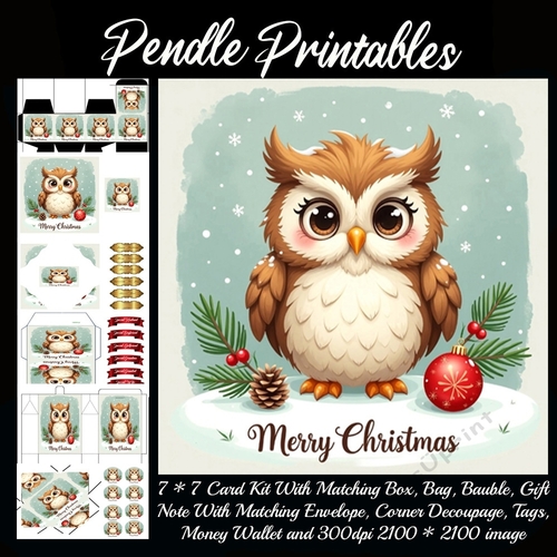 Vintage Style Merry Christmas Cute Owl (5).  9 Piece 7x7 Complete Kit
