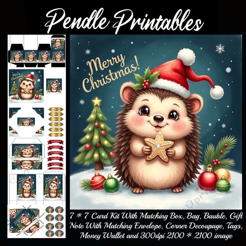 Cute Merry Christmas Hedgehog.  9 Piece 7x7 Complete Kit