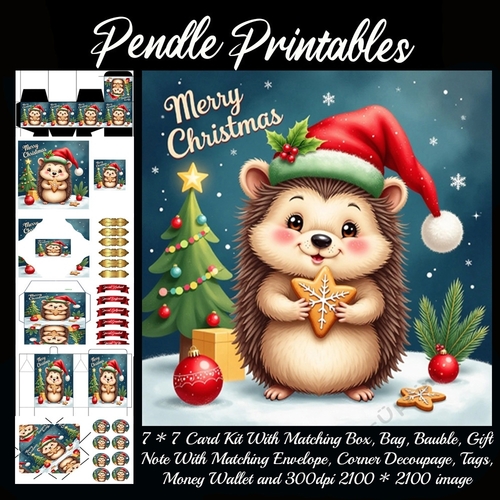 Cute Merry Christmas Hedgehog (2).  9 Piece 7x7 Complete Kit