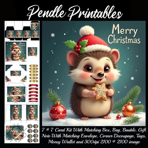 Cute Merry Christmas Hedgehog (5).  9 Piece 7x7 Complete Kit